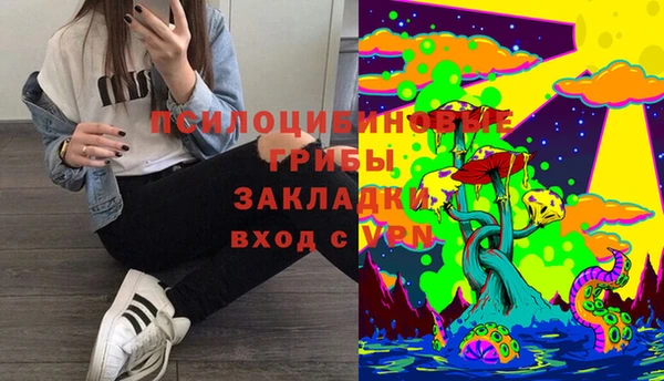 твердый Сясьстрой
