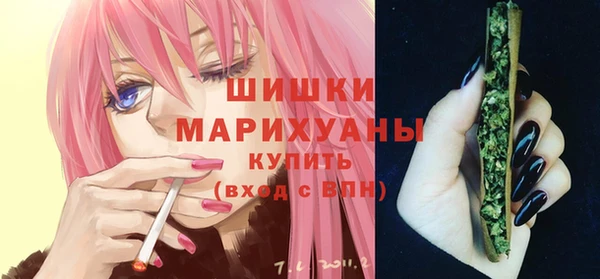 твердый Сясьстрой