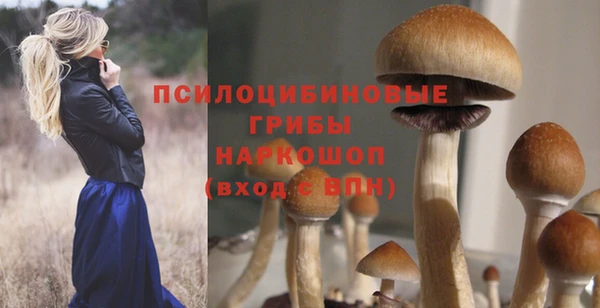 меф Тайга