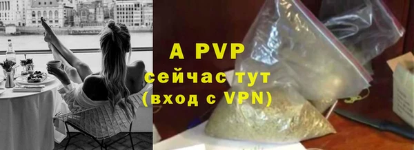 твердый Сясьстрой