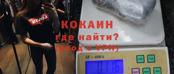 твердый Сясьстрой