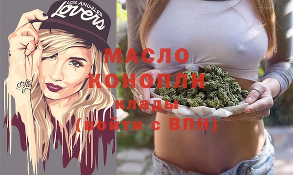 твердый Сясьстрой