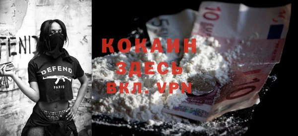 твердый Сясьстрой