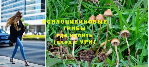 твердый Сясьстрой