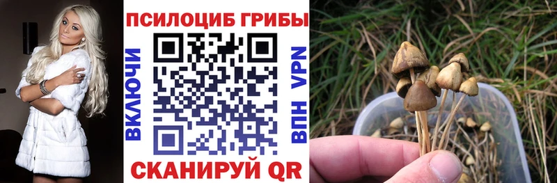Галлюциногенные грибы Cubensis  продажа наркотиков  Ишимбай 