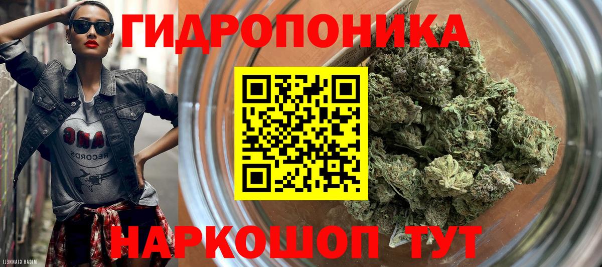 Каннабис гибрид Ишимбай